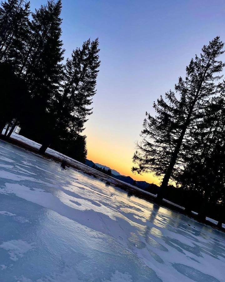 From Sunrise To Sunset At Oak Residence Smolyan Lakes Pamporovo Exterior foto